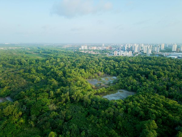 Comment commencer une collection de BDs